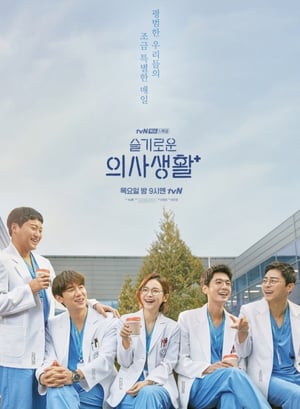 슬기로운 의사생활 테스트