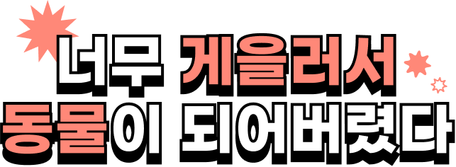 스타트 타이틀